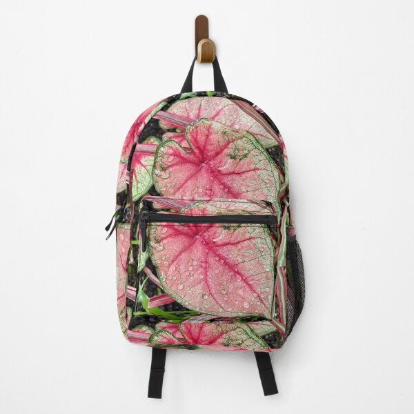 Item preview, Raindrops on Pink Caladium Leaf designed and sold by TrisaThyme.