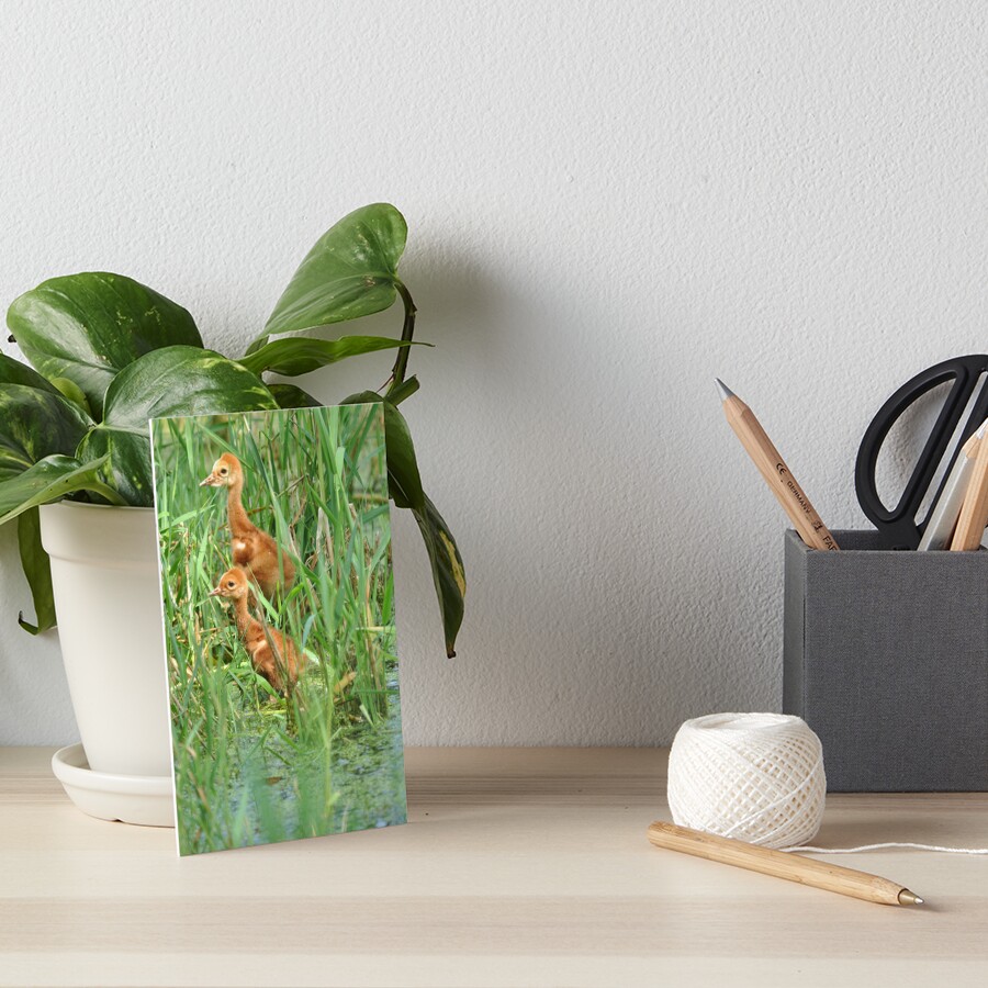 Item preview, Art Board Print designed and sold by Lin3158.