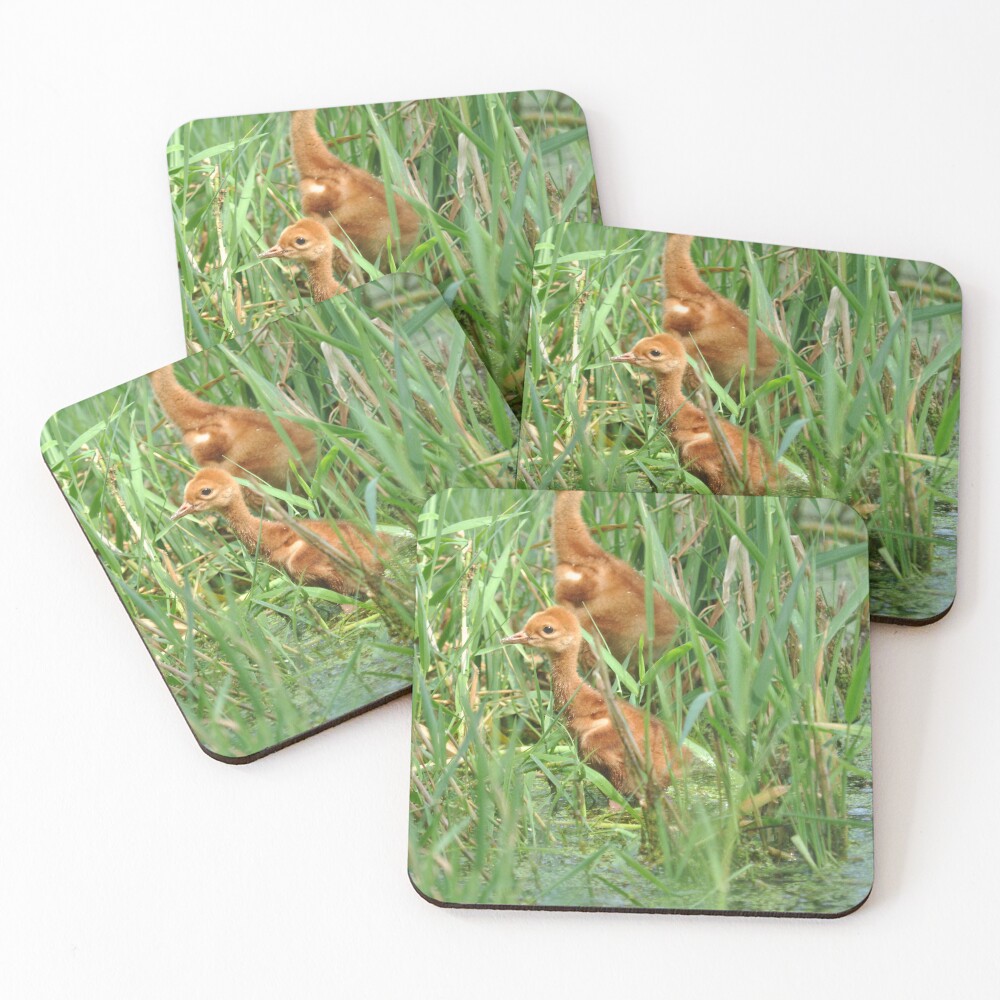 Item preview, Coasters (Set of 4) designed and sold by Lin3158.