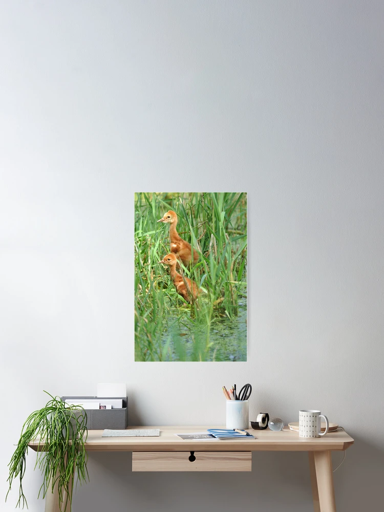 Thumbnail 2 of 3, Poster, Twins designed and sold by Lin3158.