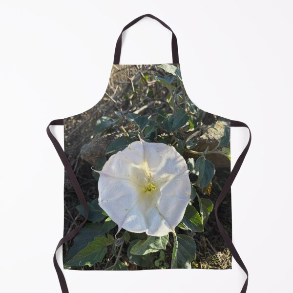 Item preview, White Morning Glory in Sunlight designed and sold by TrisaThyme.