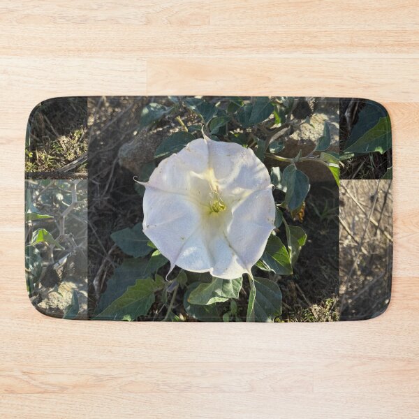 Item preview, White Morning Glory in Sunlight designed and sold by TrisaThyme.