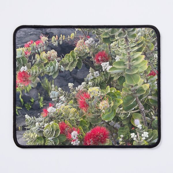 Item preview, ʻŌhiʻa Lehua Red Blossoms designed and sold by TrisaThyme.