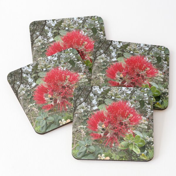Item preview, ʻŌhiʻa Lehua Blossom in Sunlight designed and sold by TrisaThyme.