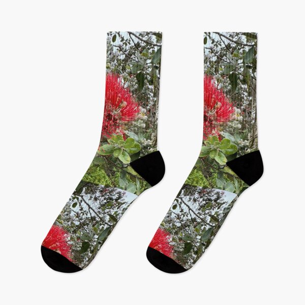 Item preview, ʻŌhiʻa Lehua Blossom in Sunlight designed and sold by TrisaThyme.