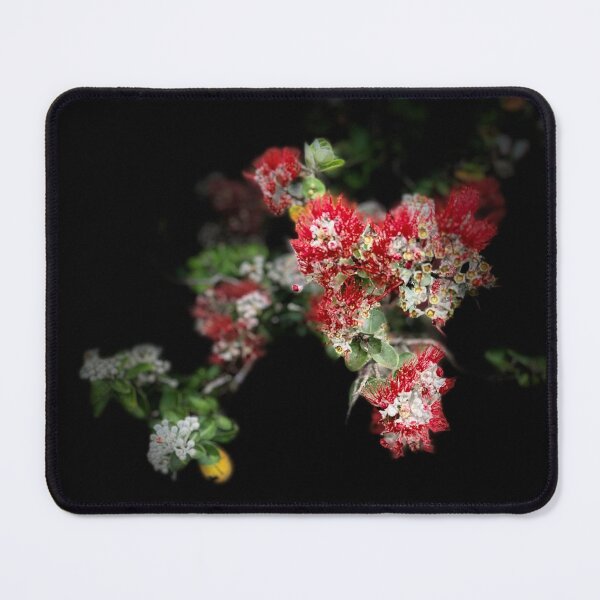 Item preview, Crimson Lehua Blossoms in Hawaiian Light designed and sold by TrisaThyme.