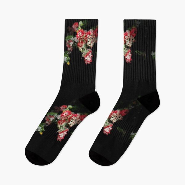 Item preview, Crimson Lehua Blossoms in Hawaiian Light designed and sold by TrisaThyme.