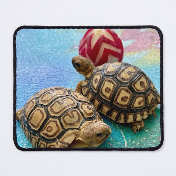 Item preview, Baby Tortoises with a Red Radish designed and sold by TrisaThyme.