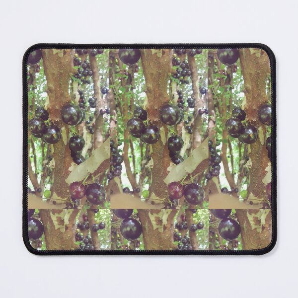 Item preview, Jaboticaba Fruit Growing on Tree Trunk designed and sold by TrisaThyme.