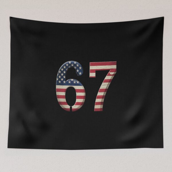 Item preview,  Six Seven 67 American Flag Six Seven designed and sold by Moxizz.