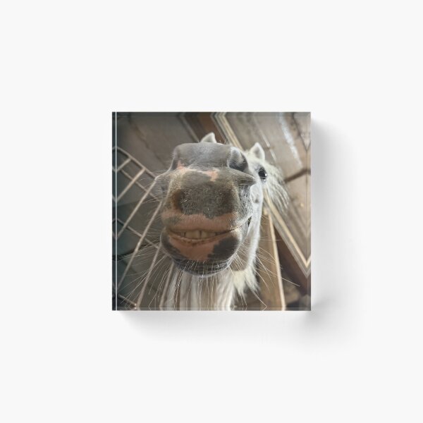 Item preview, Smiling Pippen designed and sold by ErinBrieArt.