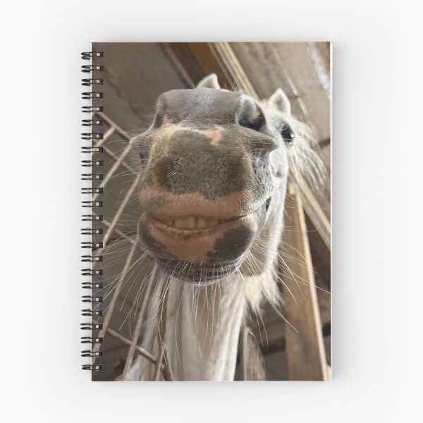 Item preview, Smiling Pippen designed and sold by ErinBrieArt.