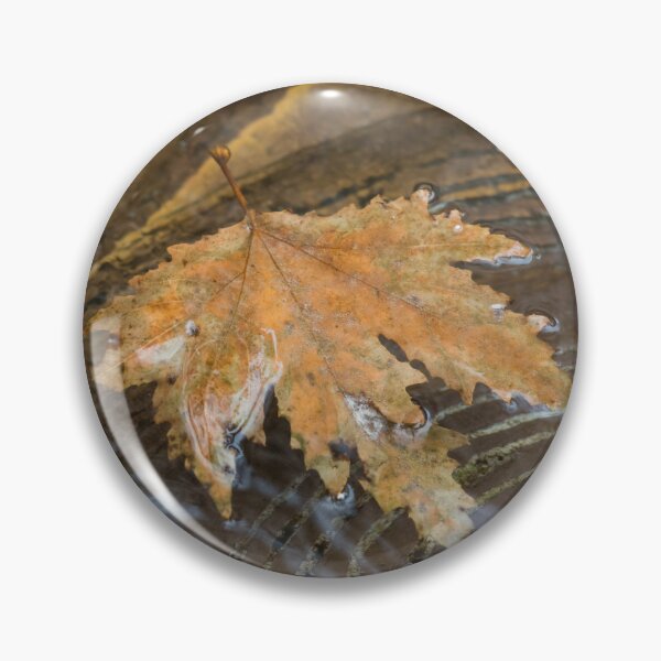 Item preview, Autumn Maple Leafs Floating in a Copper Fountain designed and sold by Georgia Mizuleva.