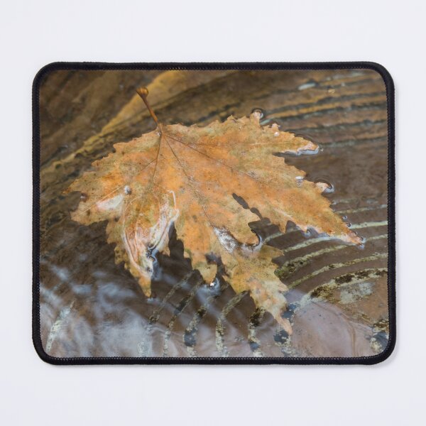 Item preview, Autumn Maple Leafs Floating in a Copper Fountain designed and sold by Georgia Mizuleva.