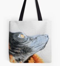 Red Ruffed Lemur looking to the sky Tote Bag