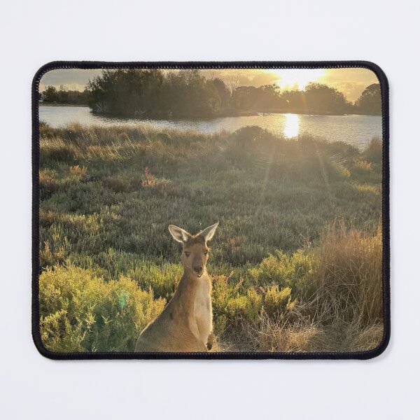 Item preview, Heirisson Island Kangaroo at Sunset – Perth Western Australia designed and sold by BCmessenger.