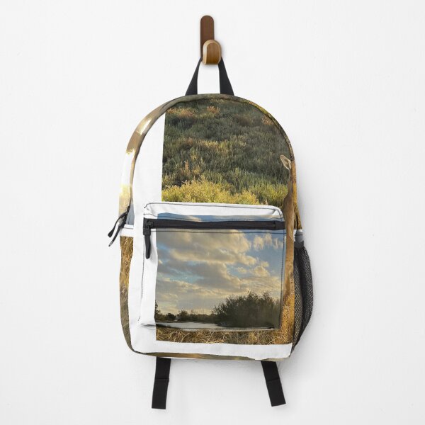 Item preview, Heirisson Island Kangaroo at Sunset – Perth Western Australia designed and sold by BCmessenger.