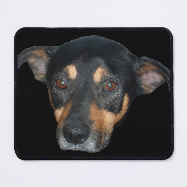 Item preview, Milo designed and sold by Brigitte Barabas.