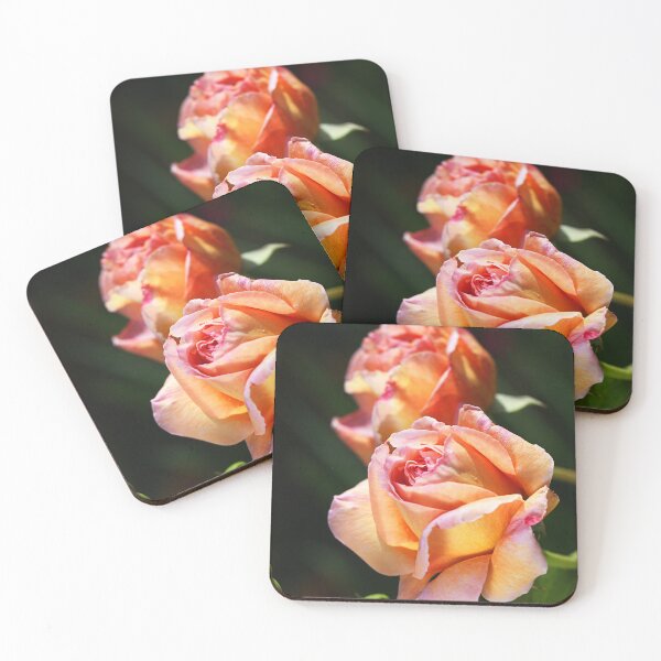 Item preview, Vibrant Orange Roses Bloom designed and sold by Joy Watson - Natural Light Photography .