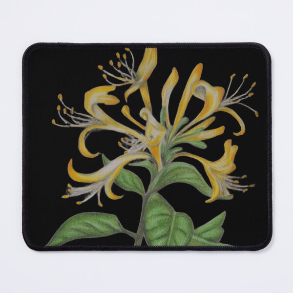 Item preview, Lonicera japonica designed and sold by P. Le Sommer.