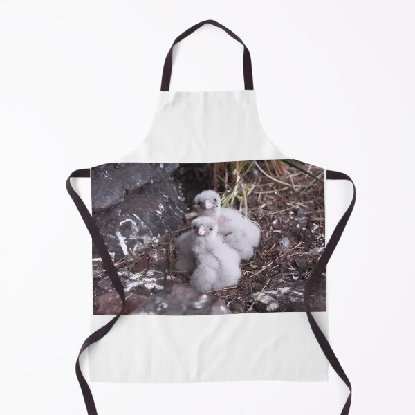Item preview, Baby peregrine falcons  designed and sold by Donovan Wilson.