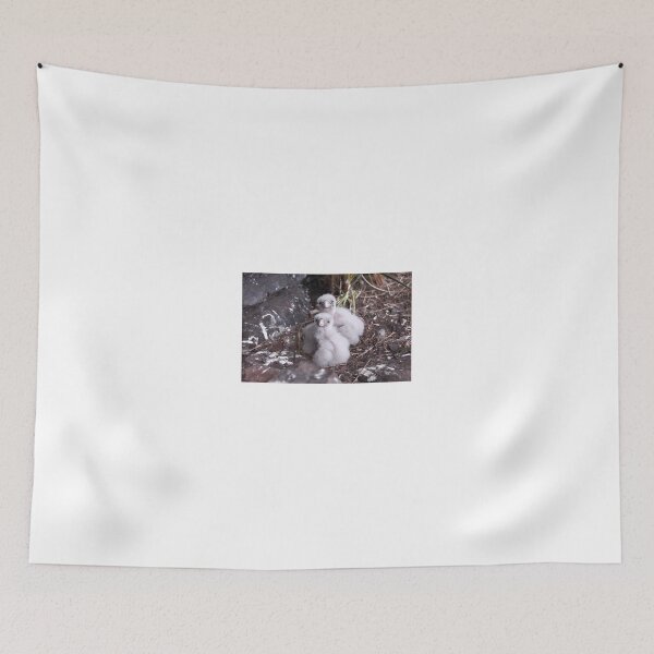 Item preview, Baby peregrine falcons  designed and sold by Donovan Wilson.