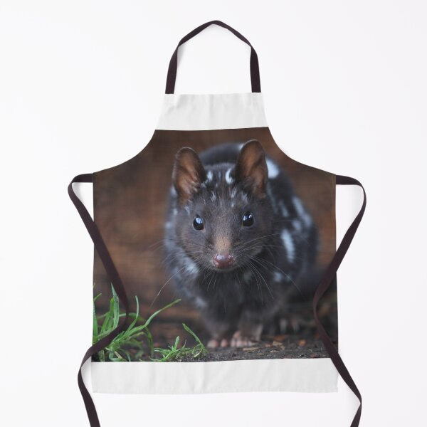 Item preview, Eastern Quoll .Black mortph. designed and sold by Donovan Wilson.