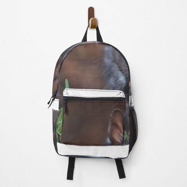 Item preview, Eastern Quoll .Black mortph. designed and sold by Donovan Wilson.
