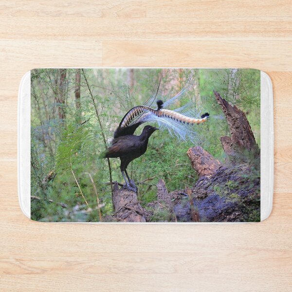 Item preview, The king of Songbirds and the duke of dancers. designed and sold by Donovan Wilson.
