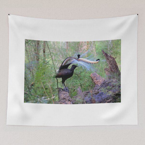 Item preview, The king of Songbirds and the duke of dancers. designed and sold by Donovan Wilson.