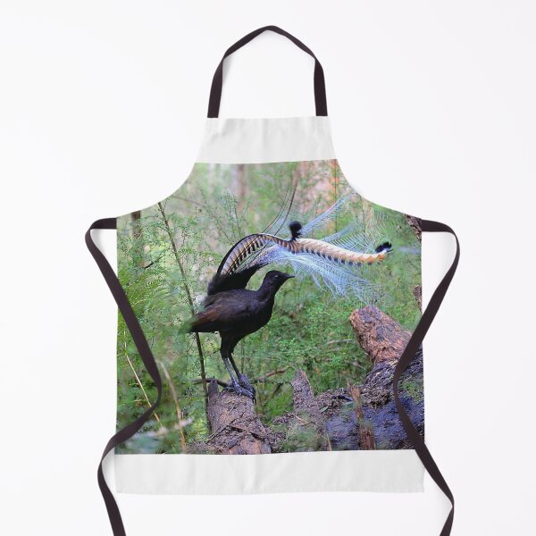 Item preview, The king of Songbirds and the duke of dancers. designed and sold by Donovan Wilson.