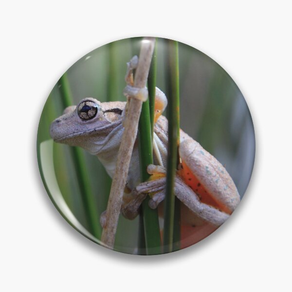 Item preview, Peron,s Tree Frog designed and sold by Donovan Wilson.
