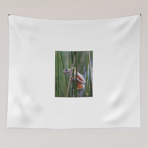 Item preview, Peron,s Tree Frog designed and sold by Donovan Wilson.