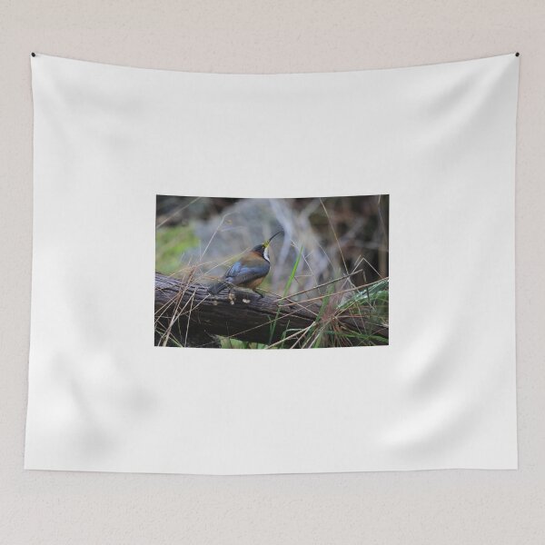 Item preview, Eastern Spinebill designed and sold by Donovan Wilson.