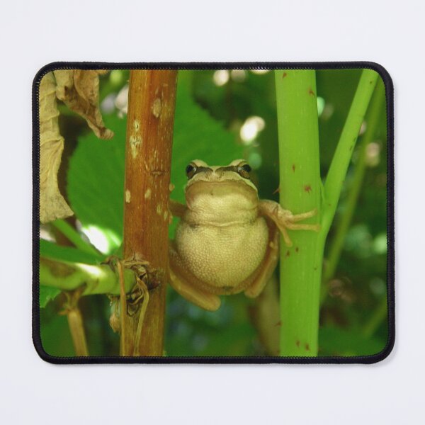 Item preview, brown tree frog designed and sold by Donovan Wilson.