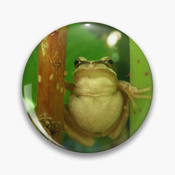 Item preview, brown tree frog designed and sold by Donovan Wilson.