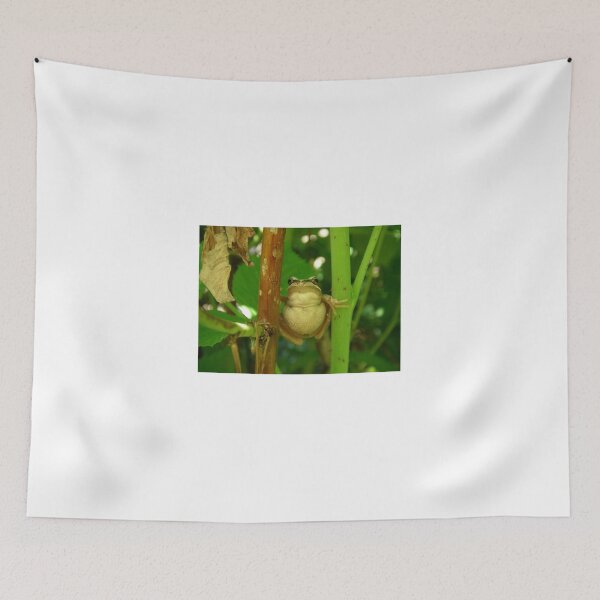 Item preview, brown tree frog designed and sold by Donovan Wilson.