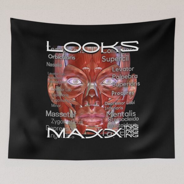 Item preview, Looksmaxing designed and sold by Flirt-Teez.