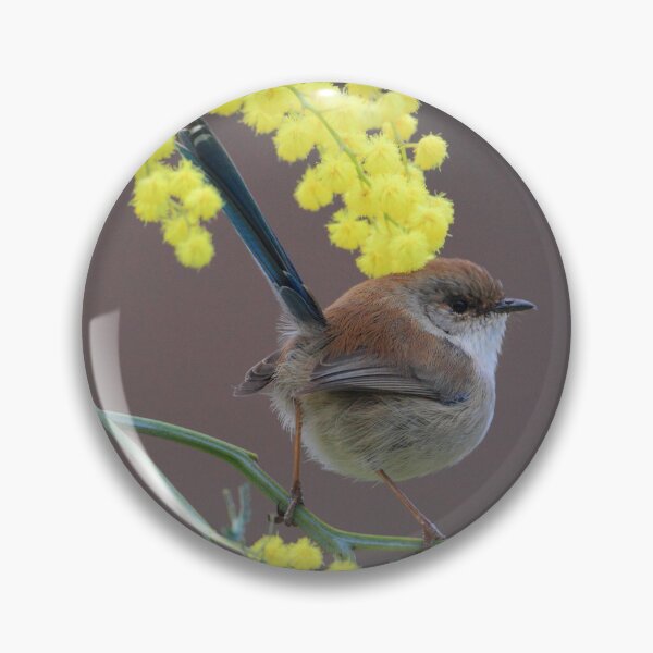 Item preview, Superb Fairy Wren and Silver Wattle designed and sold by Donovan Wilson.