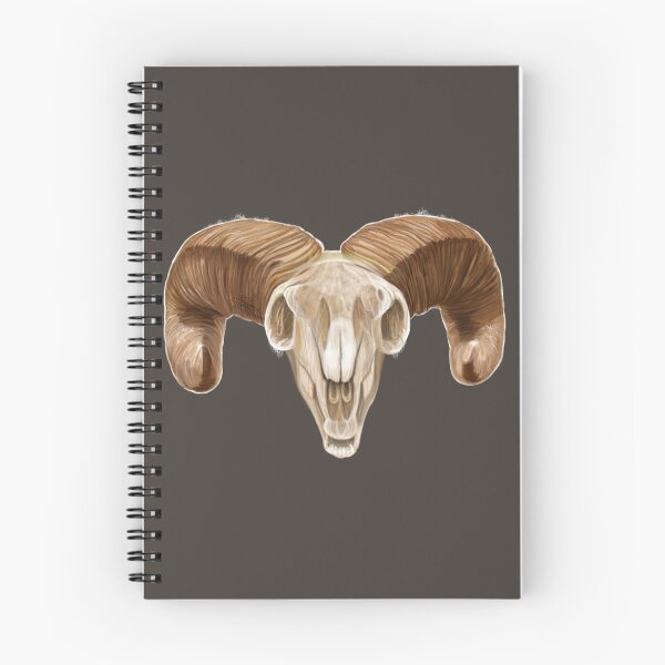 Item preview, Big Horn Sheep Skull, handpainted Painting designed and sold by AK-Hevonen.