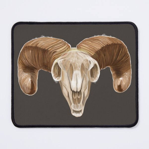 Item preview, Big Horn Sheep Skull, handpainted Painting designed and sold by AK-Hevonen.