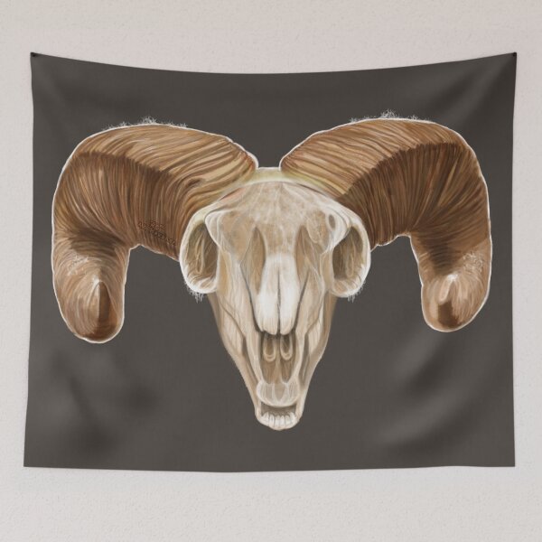 Item preview, Big Horn Sheep Skull, handpainted Painting designed and sold by AK-Hevonen.