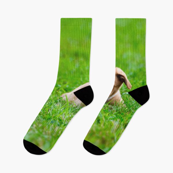 Item preview, Labrador puppy in the grass – playful and adorable / Swiss Artwork Photography designed and sold by Raphael Wolf.