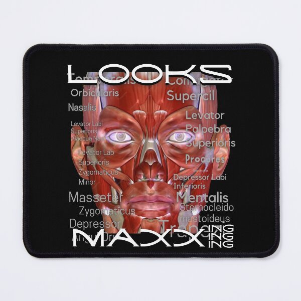 Item preview, Looksmaxing designed and sold by Flirt-Teez.