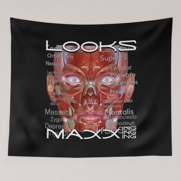 Item preview, Looksmaxing designed and sold by Flirt-Teez.