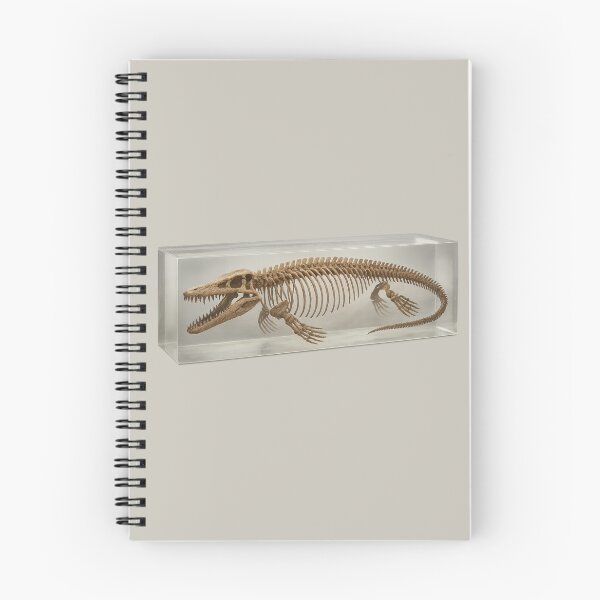 Item preview, Mosasaurus - Dinosaur Fossil Display Art (Resin) designed and sold by Candie_Loudenfrau_Art.