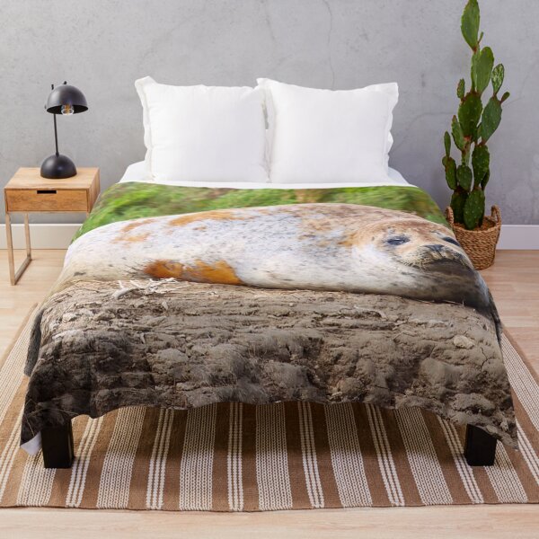 Item preview, Seal on a Sandy Beach designed and sold by Fearless-Fox.