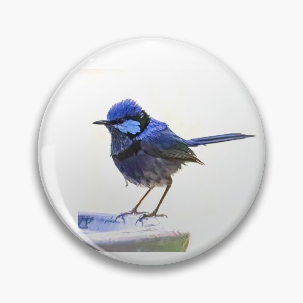 Item preview, Splendid Blue Fairy Wren designed and sold by Susiepie.