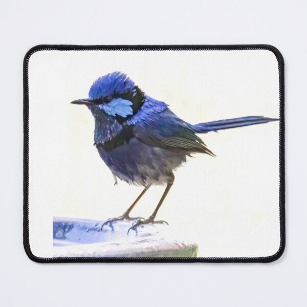 Item preview, Splendid Blue Fairy Wren designed and sold by Susiepie.