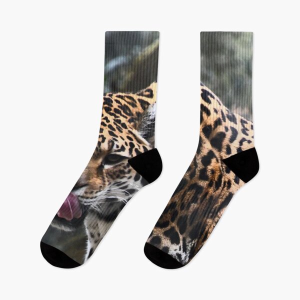 Item preview, Jaguar Portrait – Fascinating gaze and majestic presence / Swiss Artwork Photography designed and sold by Raphael Wolf.
